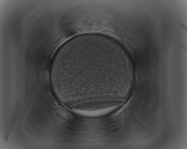 X0000097501505200803201541