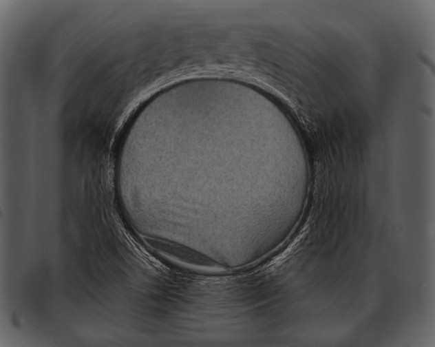 X0000097501506200803201541