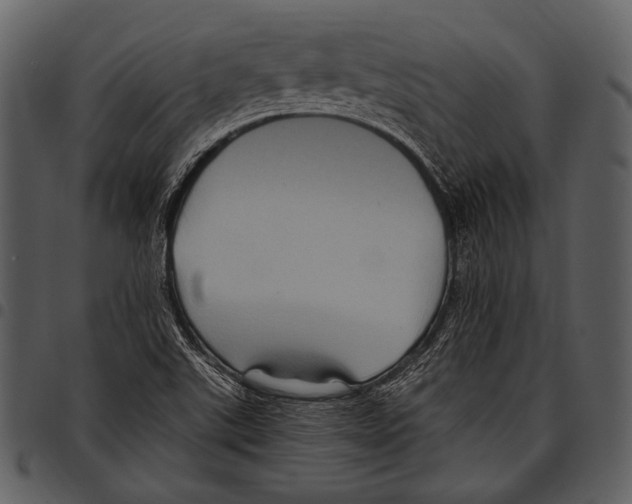 X0000097501507200803201541