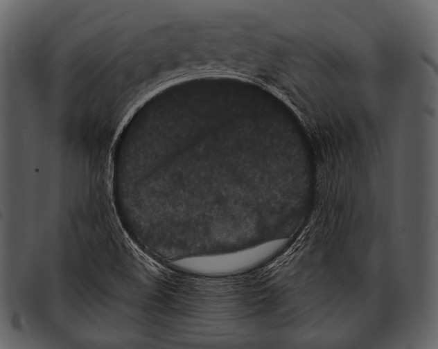 X0000097501508200803201541