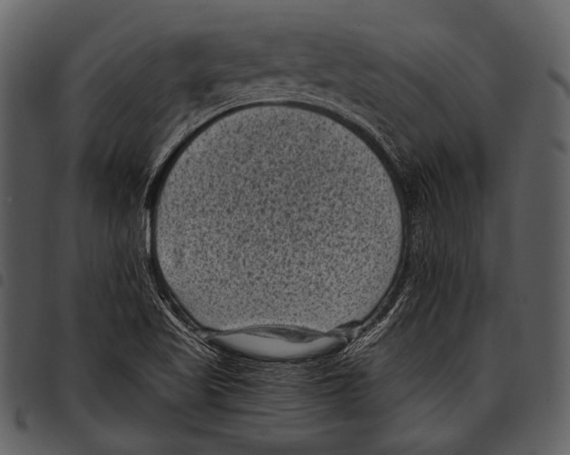 X0000097501509200803201541
