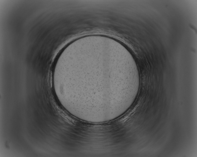 X0000097501510200803201541
