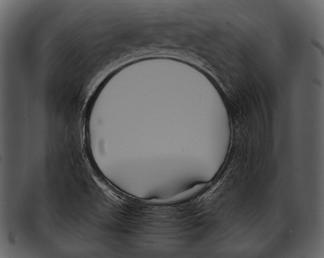 X0000097501511200803201541