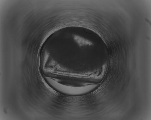 X0000097501515200803201541