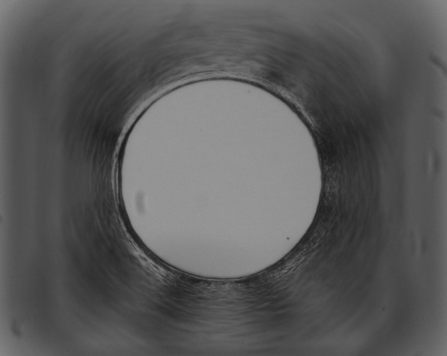 X0000097501516200803201541