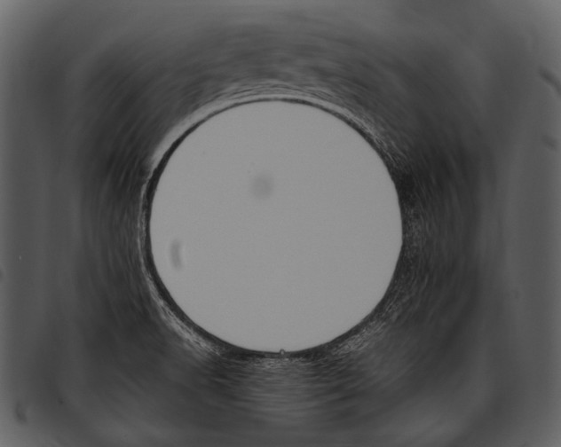 X0000097501518200803201541