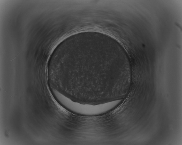 X0000097501519200803201541