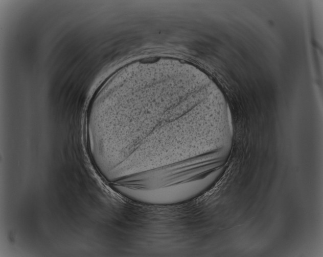 X0000097501520200803201541
