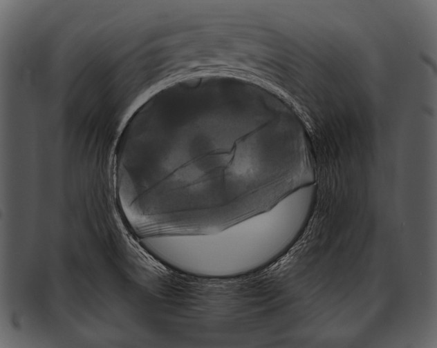 X0000097501522200803201541