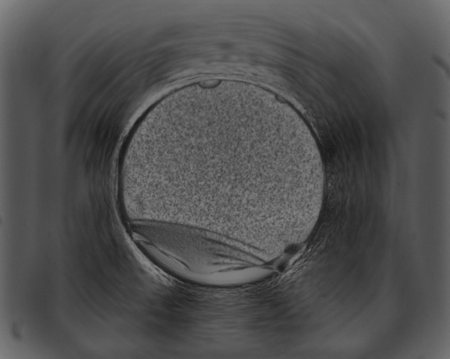 X0000097501523200803201541