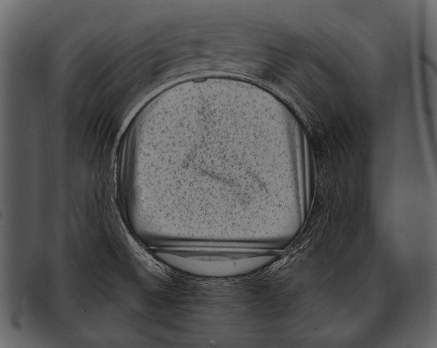 X0000097501524200803201541