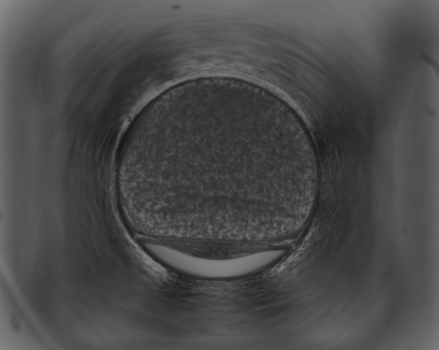 X0000097501525200803201541