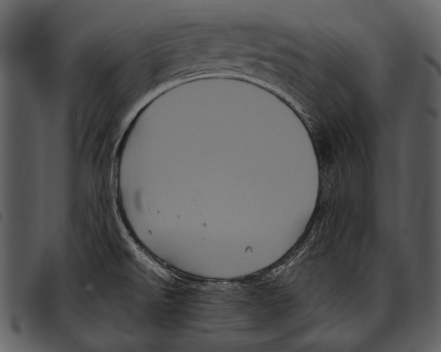 X0000097501526200803201541