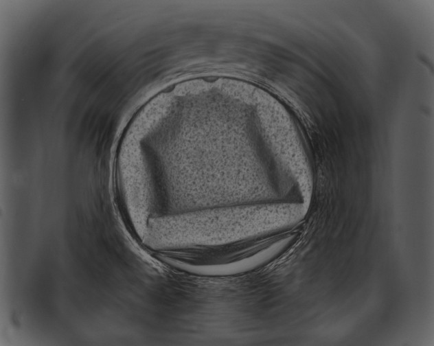 X0000097501528200803201541