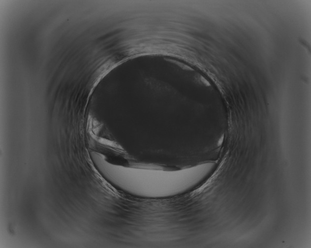 X0000097501529200803201541