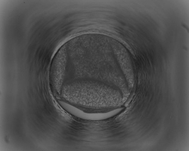 X0000097501530200803201541