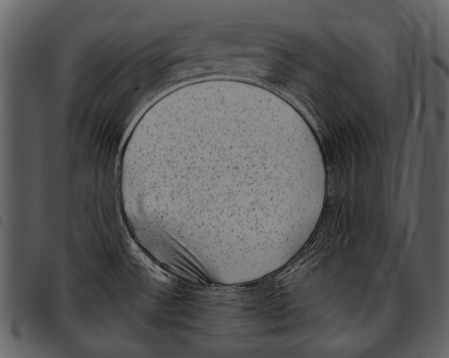 X0000097501532200803201541