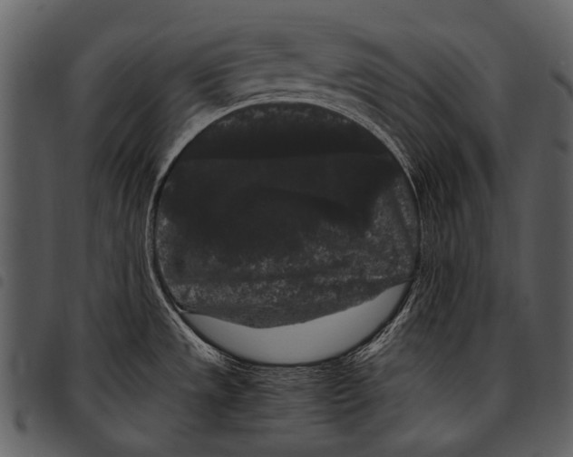 X0000097501533200803201541