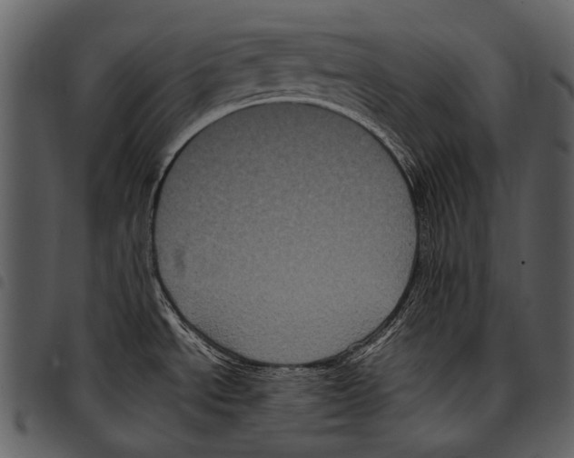 X0000097501534200803201541