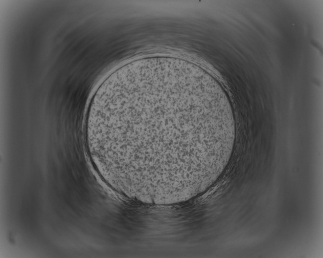 X0000097501536200803201541