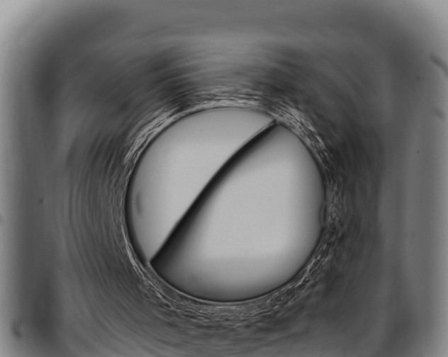 X0000097510001200802220916
