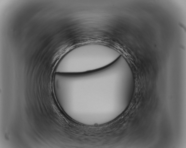 X0000097510002200802220916