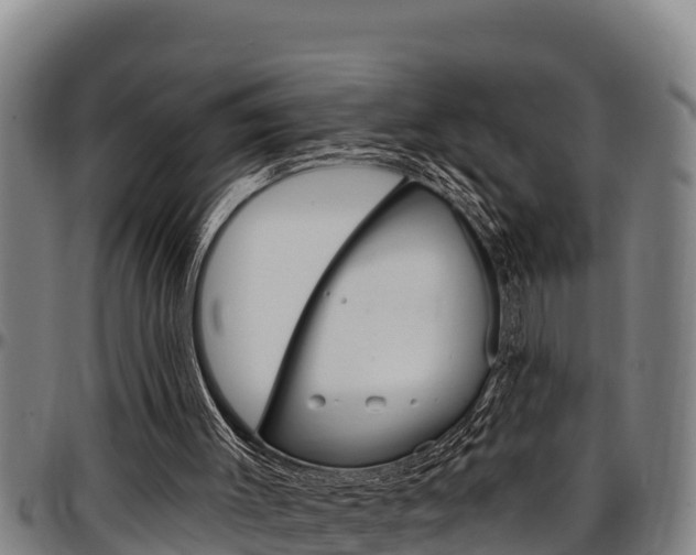 X0000097510003200802220916