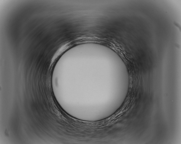 X0000097510004200802220916