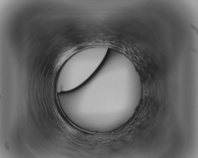 X0000097510005200802220916