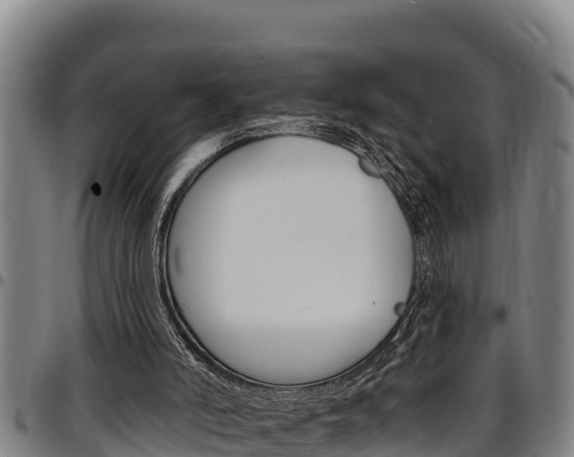 X0000097510006200802220916