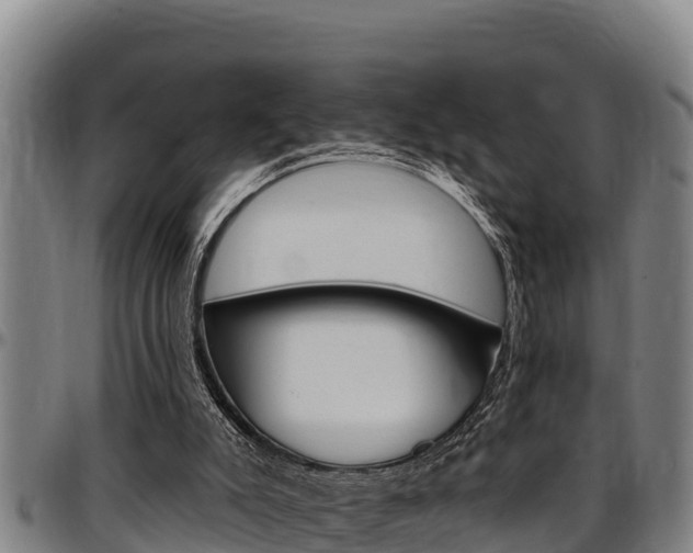 X0000097510007200802220916