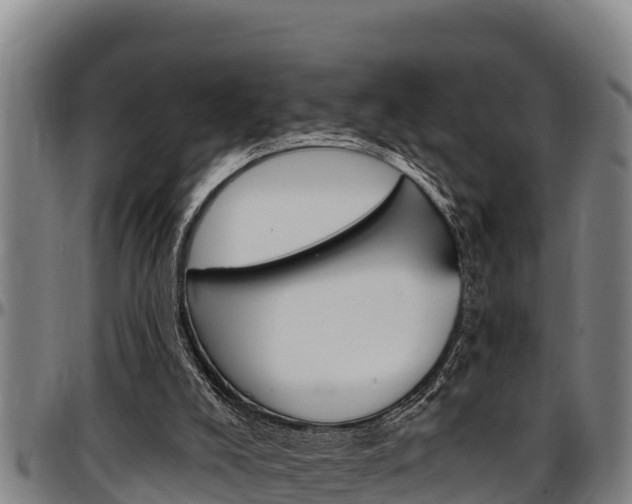 X0000097510008200802220916