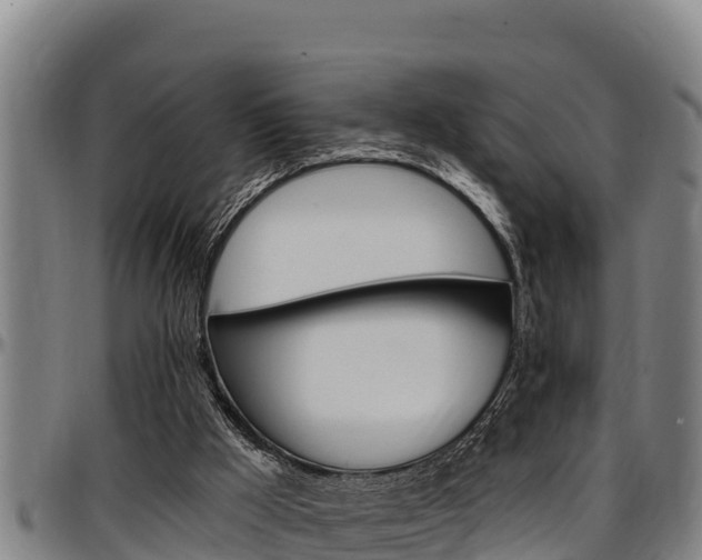 X0000097510009200802220916