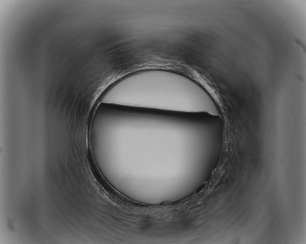 X0000097510011200802220916