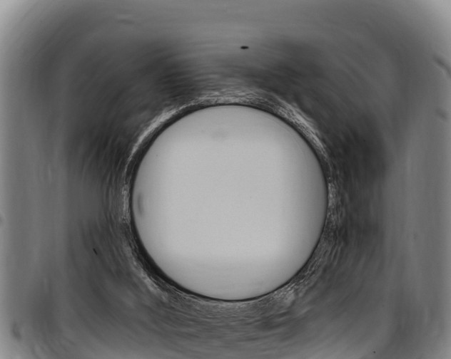 X0000097510012200802220916