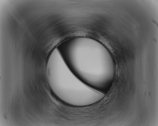 X0000097510013200802220916