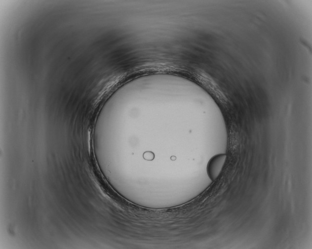 X0000097510014200802220916