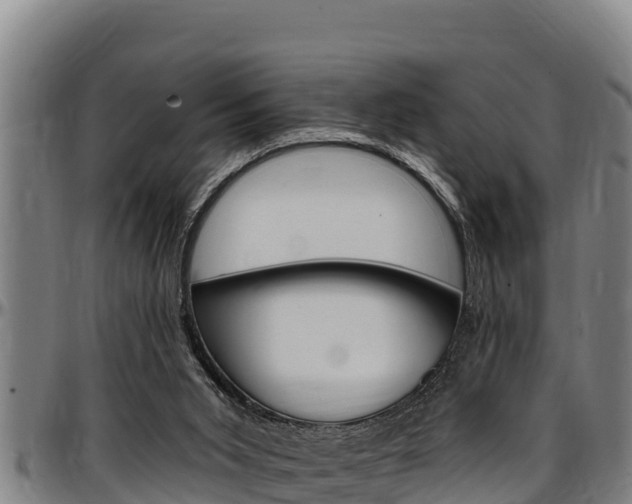 X0000097510015200802220916