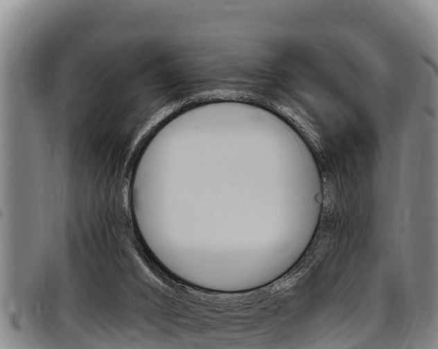 X0000097510016200802220916