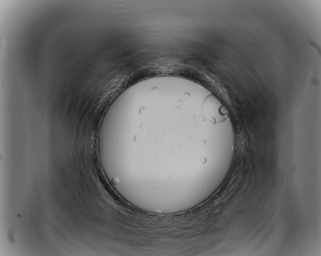 X0000097510018200802220915