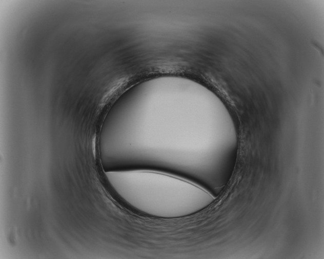 X0000097510019200802220915