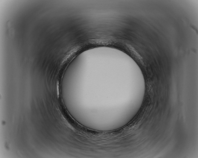 X0000097510020200802220915