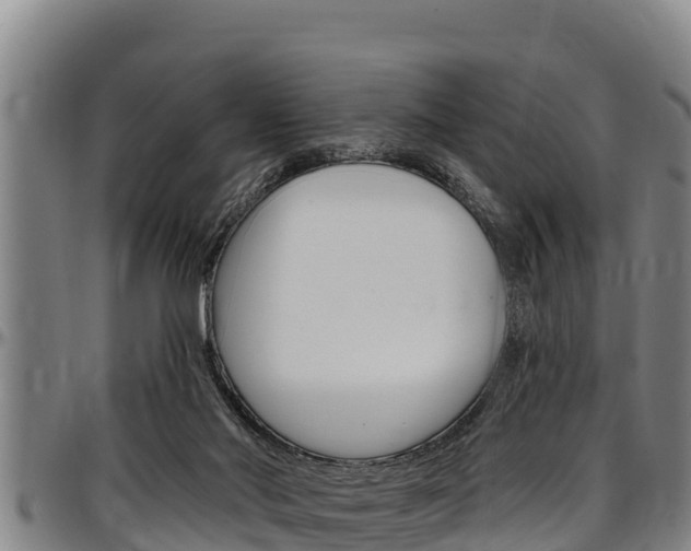 X0000097510022200802220915