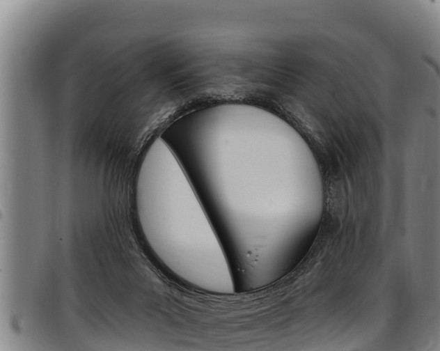 X0000097510023200802220915