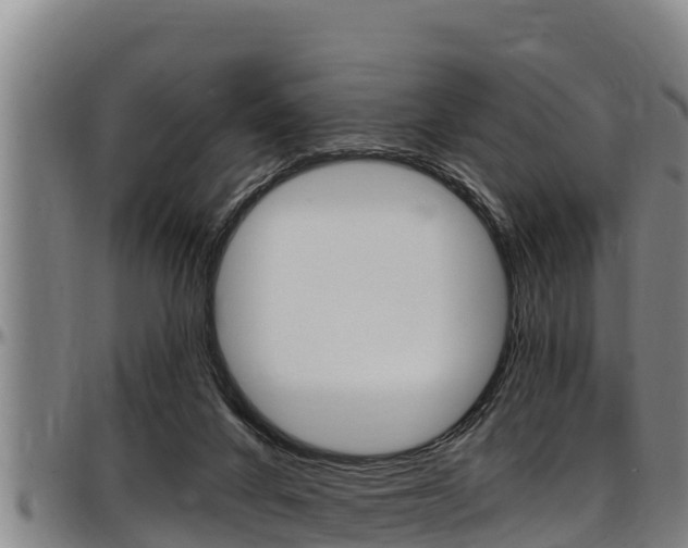 X0000097510024200802220915