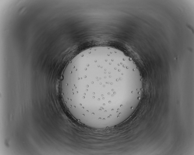 X0000097510026200802220915