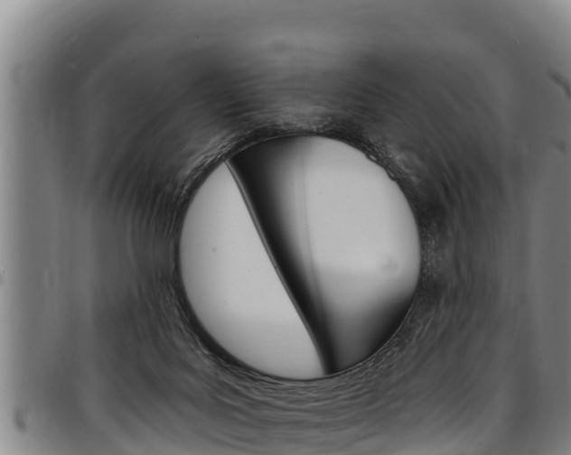X0000097510027200802220915