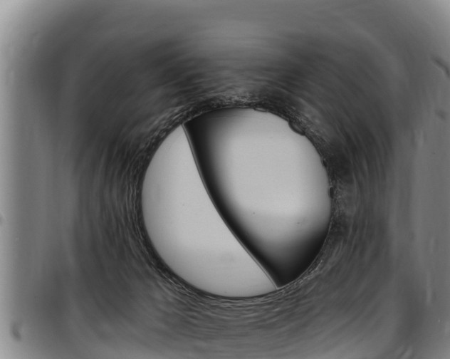 X0000097510029200802220915