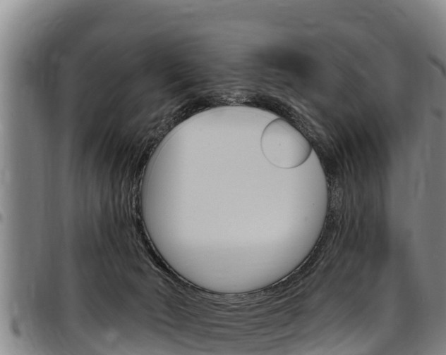 X0000097510030200802220915