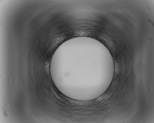 X0000097510036200802220915